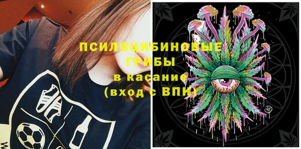 прущие грибы Алзамай