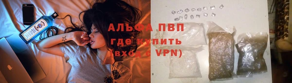 сатива Алексин