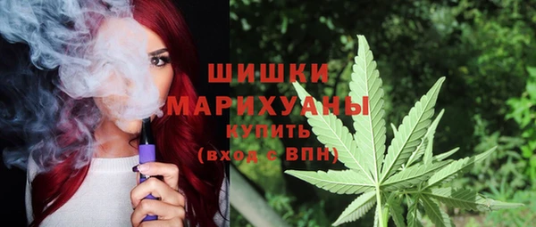 прущие грибы Алзамай