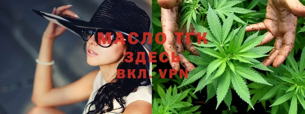прущие грибы Алзамай