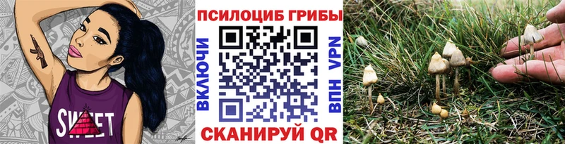 дарнет шоп  Порхов  Псилоцибиновые грибы мухоморы 